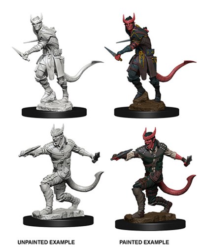 Dungeons And Dragons Nolzur's Marvelous Unpainted Minis: Tiefling Male Rogue