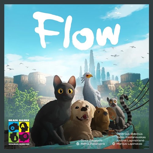 2!BGPFLOW Flow Board Game published by Brain Games