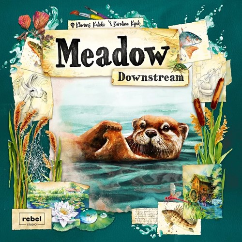 REBMEAD3 Meadow Board Game: Downstream Expansion published by Rebel Centrum