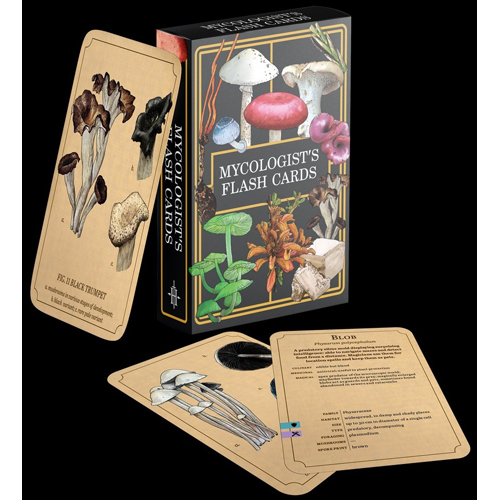 RGS02918 Mycologist's Primer Flash Cards published by Renegade Game Studios