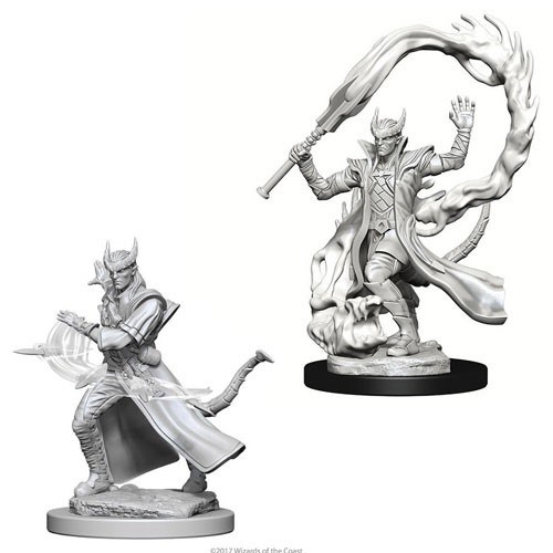 WZK73201S Dungeons And Dragons Nolzur's Marvelous Unpainted Minis: Tiefling Male Sorcerer published by WizKids Games