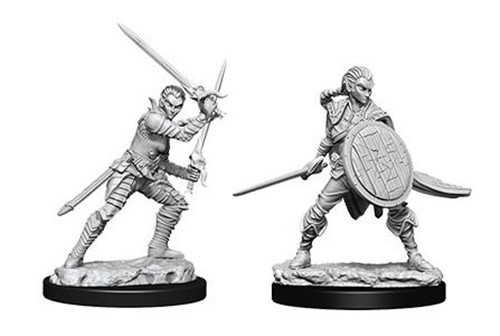 WZK73410S Pathfinder Deep Cuts Unpainted Miniatures: Elf Female Fighter 2 published by WizKids Games