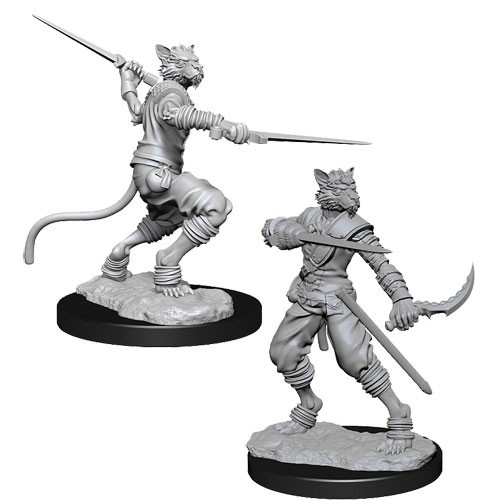WZK73540S Dungeons And Dragons Nolzur's Marvelous Unpainted Minis: Tabaxi Male Rogue published by WizKids Games