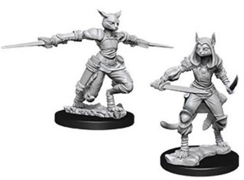 WZK73708S Dungeons And Dragons Nolzur's Marvelous Unpainted Minis: Tabaxi Female Rogue published by WizKids Games