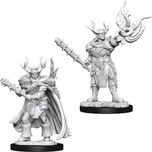 WZK73853S Pathfinder Deep Cuts Unpainted Miniatures: Half-Orc Male Druid published by WizKids Games