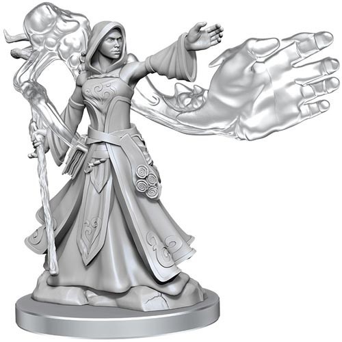 Dungeons And Dragons Frameworks: Elf Wizard Female