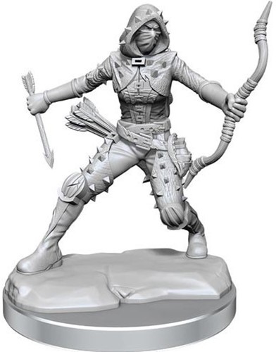 2!WZK75038 Dungeons And Dragons Frameworks: Human Rogue Female published by WizKids Games