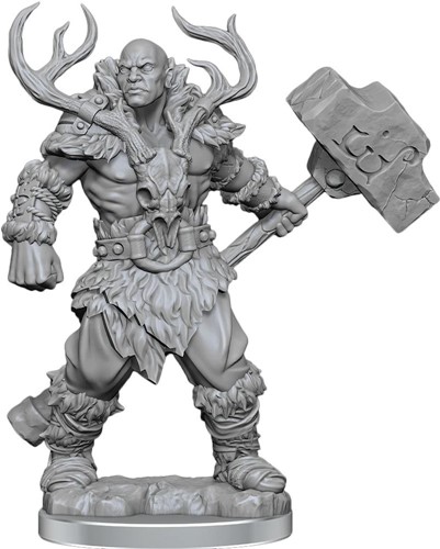 Dungeons And Dragons Frameworks: Goliath Barbarian Male