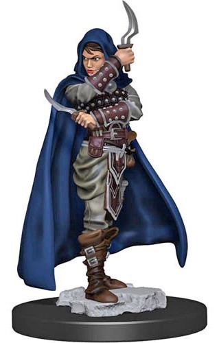 WZK77501S Pathfinder Deep Cuts Painted Miniatures: Human Rogue Female published by WizKids Games