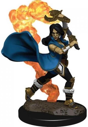 WZK77507S Pathfinder Deep Cuts Painted Miniatures: Human Cleric Female published by WizKids Games