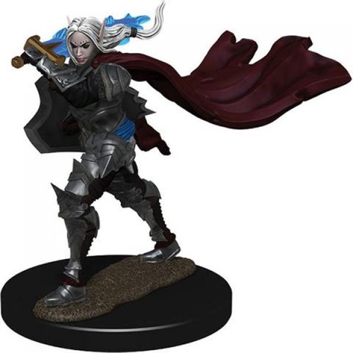 WZK77508S Pathfinder Deep Cuts Painted Miniatures: Elf Paladin Female published by WizKids Games