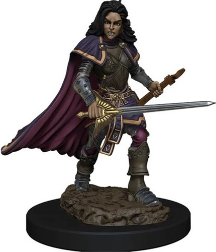 WZK77509S Pathfinder Deep Cuts Painted Miniatures: Human Bard Female published by WizKids Games