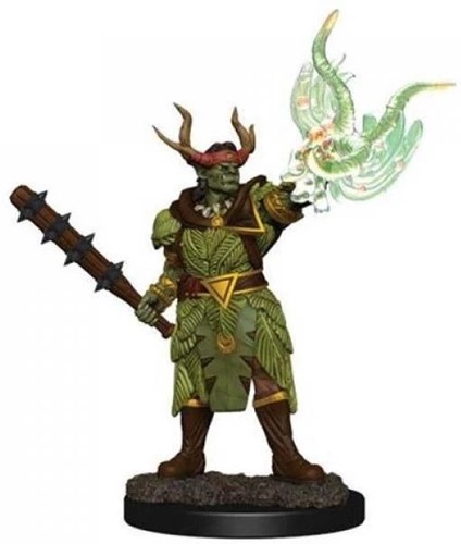 WZK77511S Pathfinder Deep Cuts Painted Miniatures: Half-Orc Druid Male published by WizKids Games