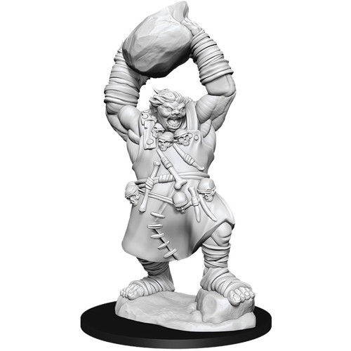 WZK90041S Pathfinder Deep Cuts Unpainted Miniatures: Ogre published by WizKids Games