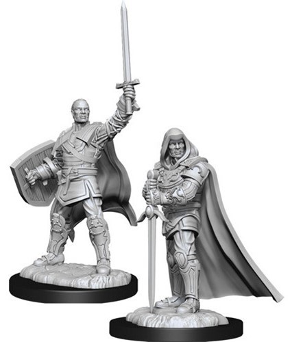 WZK90136S Dungeons And Dragons Nolzur's Marvelous Unpainted Minis: Human Male Paladin Male published by WizKids Games