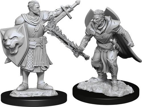 WZK90263S Pathfinder Deep Cuts Unpainted Miniatures: Human Champion Male published by WizKids Games