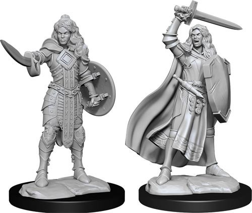 Pathfinder Deep Cuts Unpainted Miniatures: Human Champion Female