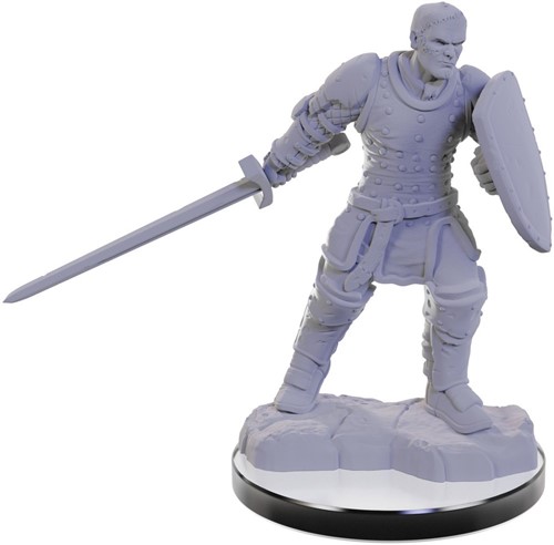 WZK90673S Dungeons And Dragons Nolzur's Marvelous Unpainted Minis: Reborn Paladin And Reborn Warlock published by WizKids Games
