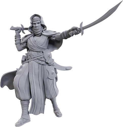 2!WZK90712 Pathfinder Deep Cuts Unpainted Miniatures: Desert Giant published by WizKids Games
