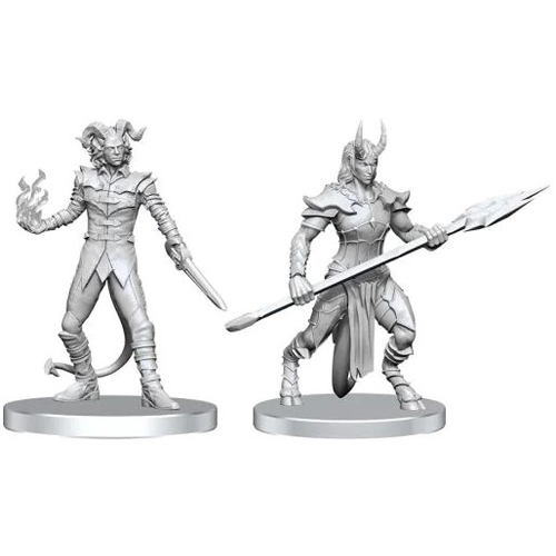 2!WZK90840 Pathfinder Deep Cuts Unpainted Miniatures: Vordine published by WizKids Games