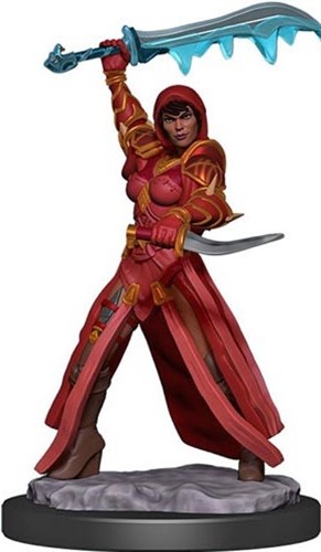 WZK93032S Dungeons And Dragons: Human Rogue Female Premium Figure published by WizKids Games