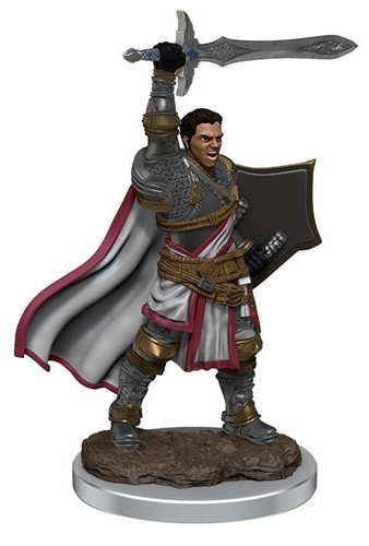 Dungeons And Dragons: Male Human Paladin Premium Figure