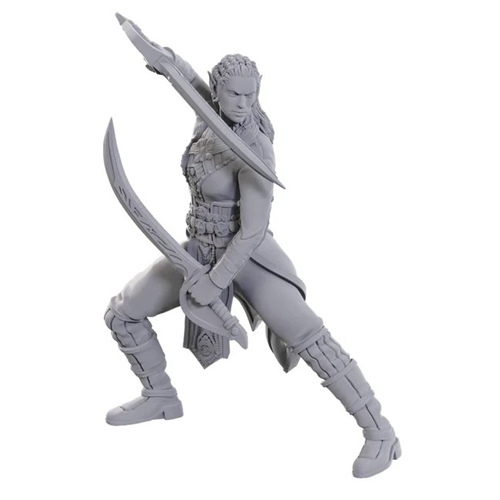 3!WZK96368 Dungeons And Dragons Nolzur's Marvelous Unpainted Minis: Jaheira And Halsin published by WizKids Games